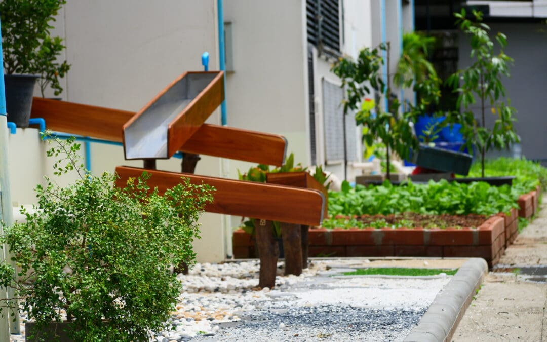 Playing with Joy… Learning Through All 7 Senses