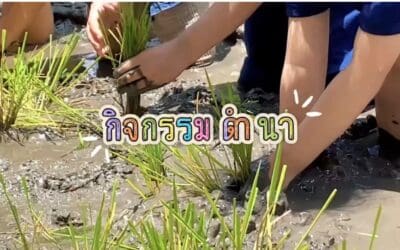 เรียนรู้ผ่านการเล่น ลงมือจริง สนุกกับการดำนา